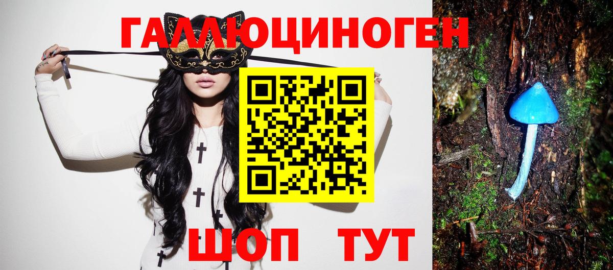 Чернушка  Псилоцибиновые грибы MAGIC MUSHROOMS  Вход с VPN 
